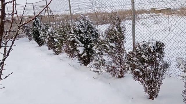 ЖИЗНЬ БЕЗ ПРИКРАС. Татьянин день. 25.01.2022год. смотреть онлайн