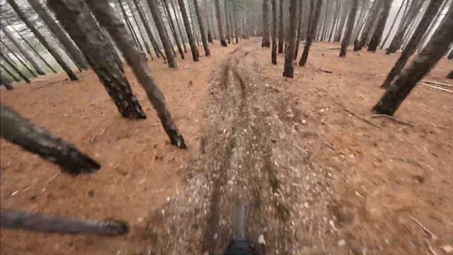 Трейл «Пион» + легальный объезд Трейла «Сосенки» смотреть онлайн