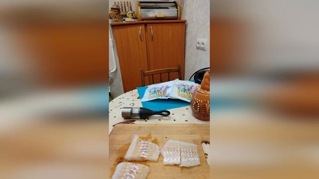 POLINA LIVEVLOG Arhangelsk