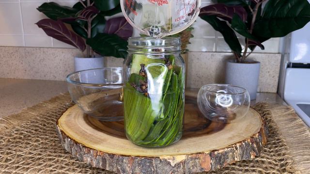ALOE VERA & CLOVES HAIR GROWTH OIL | USE TWICE A WEEK FOR LONGER & THICKER HAIR смотреть онлайн