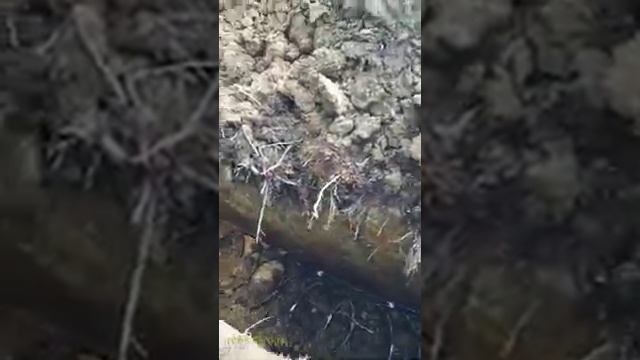 Тепловой насос. Вода-вода. Монтаж земляного коллектора за три дня. смотреть онлайн