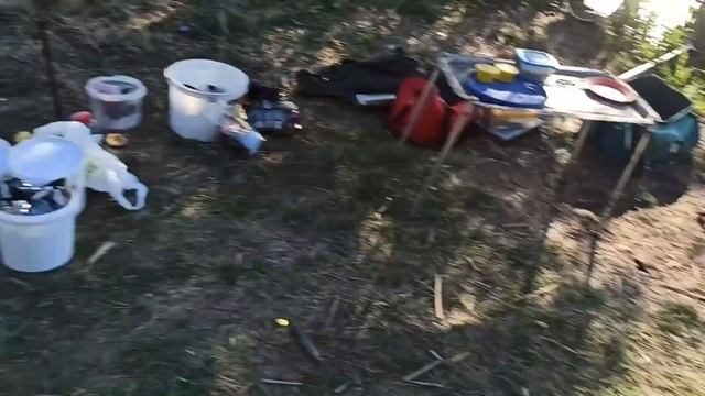 Рыбалка с ночевкой/Неожиданный подарок от хозяина водоема/Ночной клев/Мишка чемпион по рыбной ловле смотреть онлайн