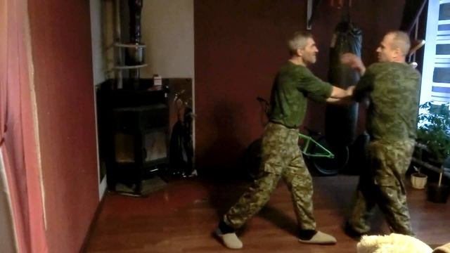 Universal combat system на базе смешанного стиля орла и змеи 16 смотреть онлайн