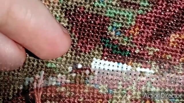 Живой процесс. Камышовый кот. смотреть онлайн