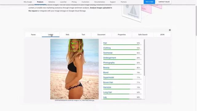 Bilderkennung über Google Cloud Vision API смотреть онлайн