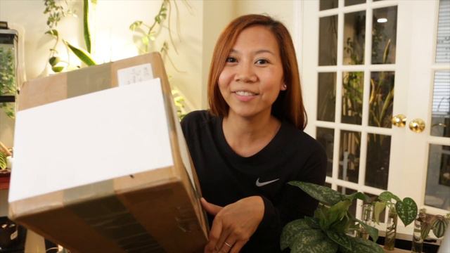 📦 Unboxing a Cereus Forbesii ‘Spiralis' Cactus 🌵 From Italy 🇮🇹 || A girl with a garden смотреть онлайн