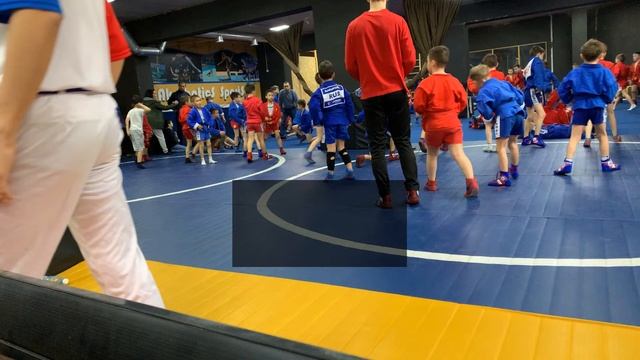 Лига самбо 13/14 смотреть онлайн