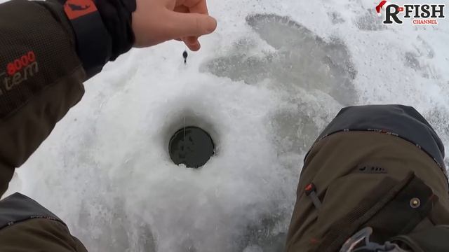 Открываю сезон дома! р. Клязьма ловим Синца на покаток смотреть онлайн