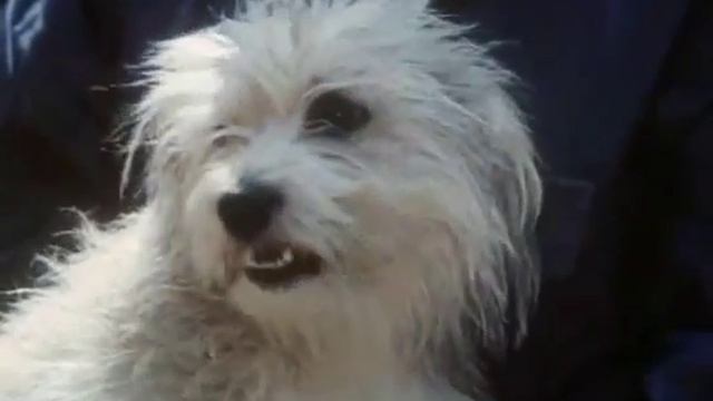 Песня о мечте. смотреть онлайн