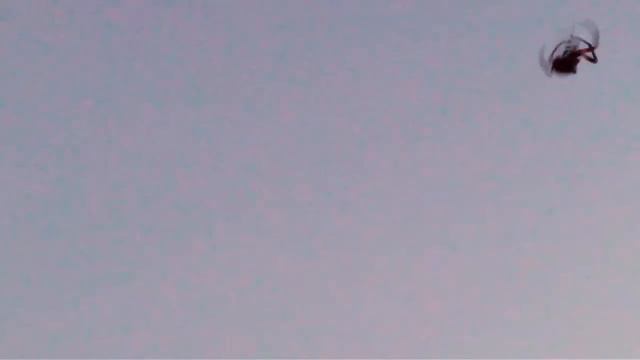 #Паук на балконе плетет паутину#Он тоже домашнее животное. смотреть онлайн