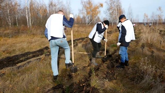 Посадка леса в Орловской области 31 октября 2023 года смотреть онлайн