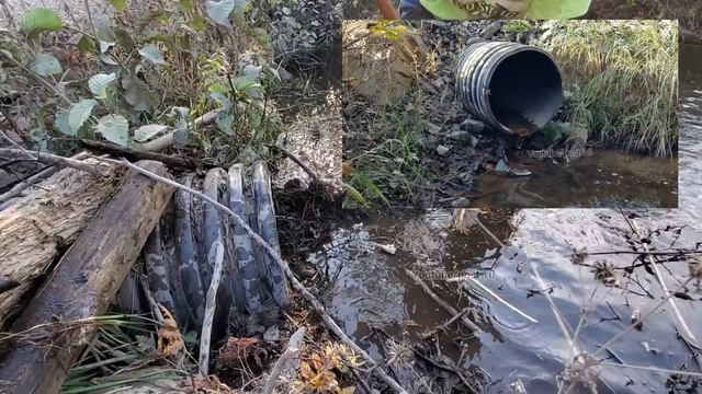 Unclogging A Giant Blockage смотреть онлайн