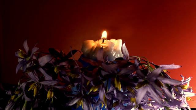 Аспектариум. Т.4. Квадрат Марс/Юпитер. Ч.2 смотреть онлайн