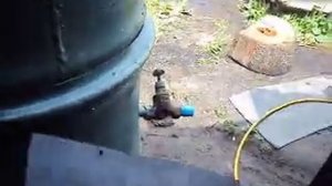 пихтоварка