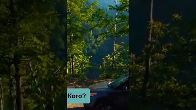 Абхазия, плюсы и минусы? смотреть онлайн