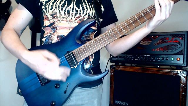 Lamb of God - Now You've Got Something To Die For (Guitar Cover) - Ibanez RGAT62- Perfect LOG Tone! смотреть онлайн