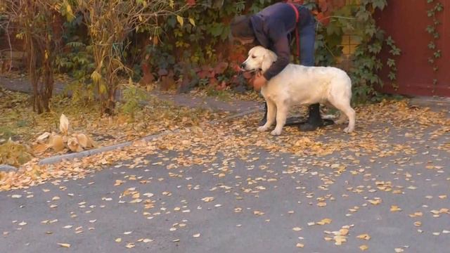 R P Oxford  October 8, 2021