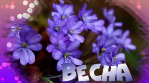 Футаж. Весна 30