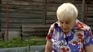 Галина Кизима - Посадка картофеля под солому