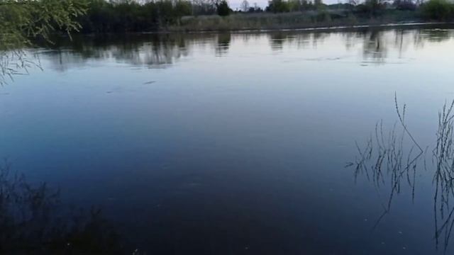 Рыбалка на р. Жиздра смотреть онлайн