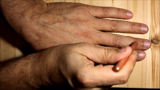 Урок 02 Позвоночник и система  насекомого