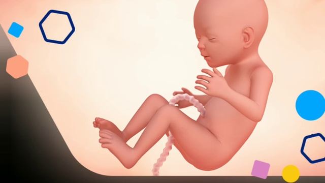 Java e 18 e Shtatzanise. Cfare pritet te ndodhe gjate kesaj jave? смотреть онлайн