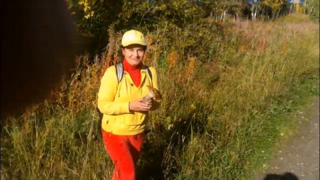 ЛАРИСА С ДНЕМ РОЖДЕНИЯ смотреть онлайн