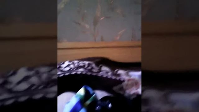 TAG мой пушистый друг собака смотреть онлайн