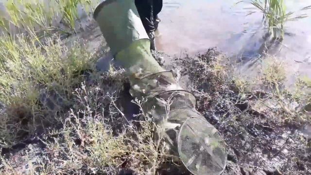 Уловы "Черноморец"- малый пруд.16.08.2017. смотреть онлайн