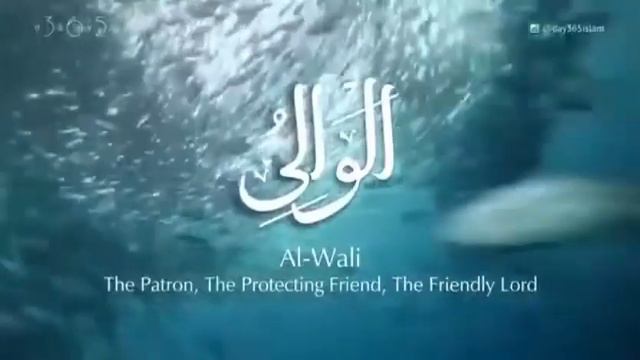 Аль-Валий означает Поручитель, Охраняющий благочестивых; Являющийся Другом Своим достойным рабам 10