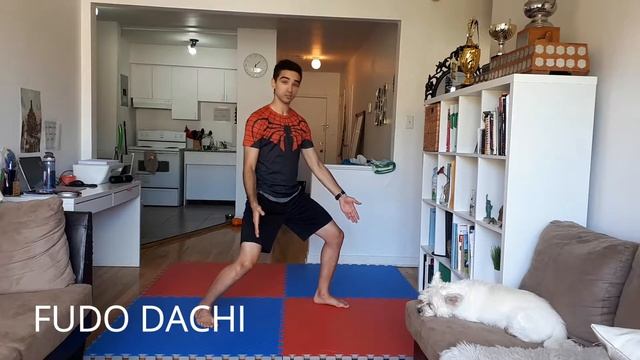Fudo Dachi - White Belt Shiai 1/8 - from Minute Karate by Arrow Karate смотреть онлайн