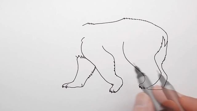 How to Draw a Polar Bear Step by Step for Kids - Draw Ice Bear смотреть онлайн