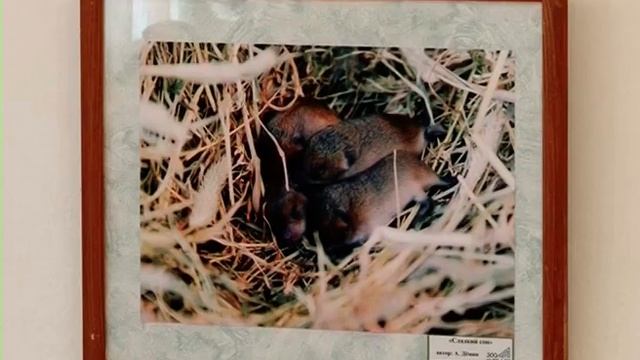 В городском музее работает выставка известных фотографов Березовского смотреть онлайн
