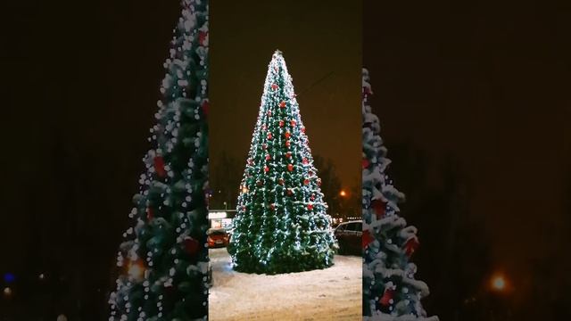В городе уже ставят ёлки ??? смотреть онлайн