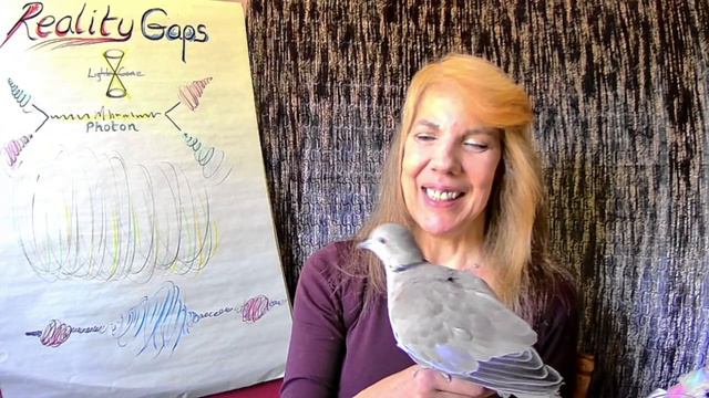 Reality Gaps - twixt Boltzmann and our Brains смотреть онлайн