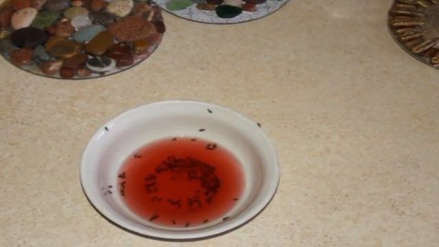 Стройка Видеоглазом