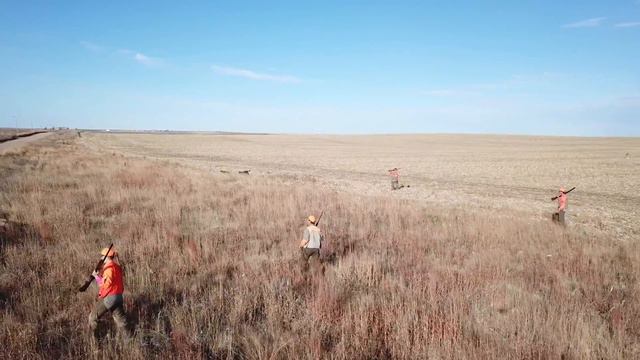 Kick the dust up. [Kansas Pheasant Hunting 2017] [4K] смотреть онлайн