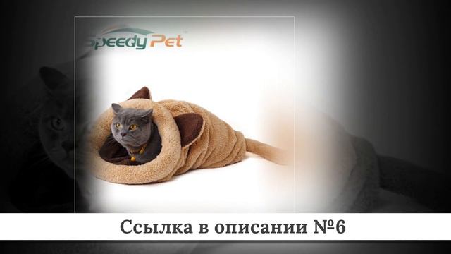 Новинки Товаров для кошек из китая #1 смотреть онлайн