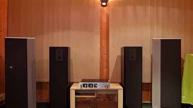 High-End колонки Dali за 4000 долларов и усилитель Yorkville 2×500 Вт – любительский обзор от Макса