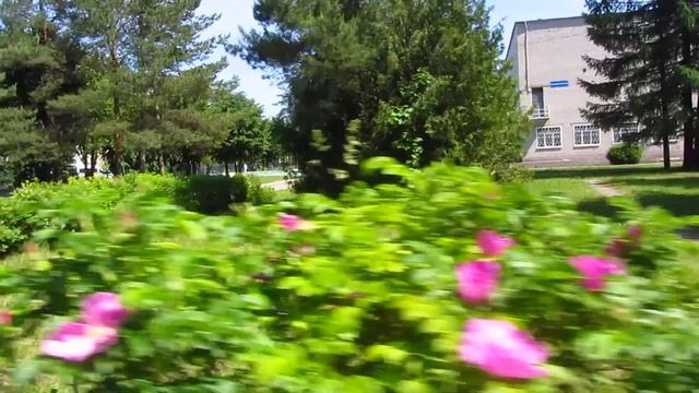 г. Иваново - областная больница- сквер смотреть онлайн