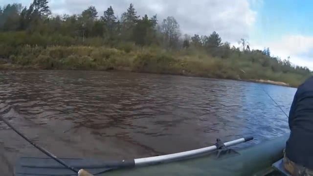 Б Кокшага 27 09 17 смотреть онлайн