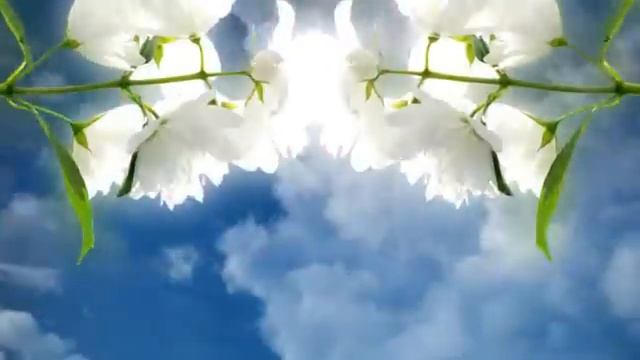 Язык цветов... смотреть онлайн