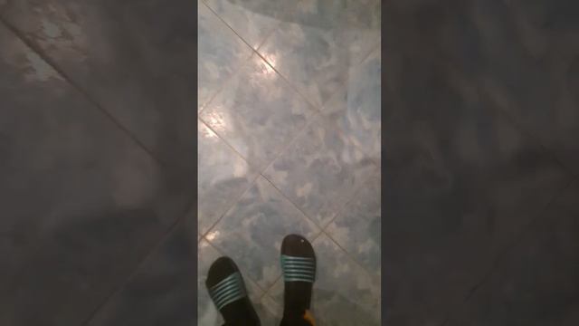 Самое редкое насекомое которое живёт в вашем квартире!! до конца смотреть онлайн