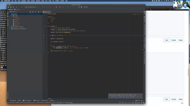 PROG2005: Go programming - standard I/O, pipes, problems. смотреть онлайн