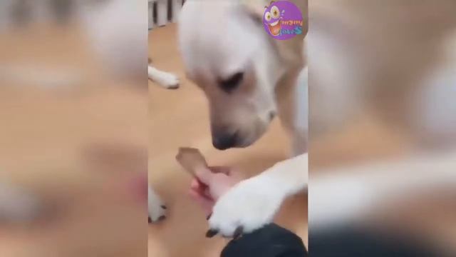 Вот она! Настоящая дружба! смотреть онлайн