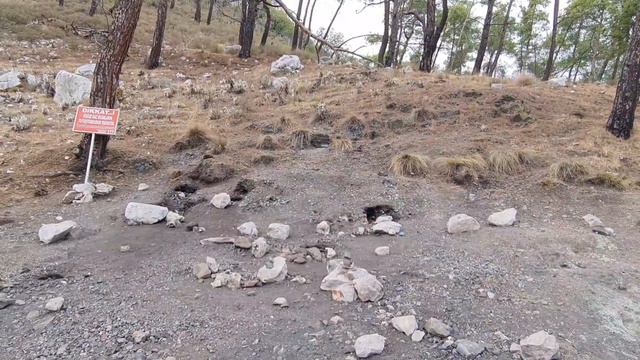 Чироли Улипинар |День #10 смотреть онлайн