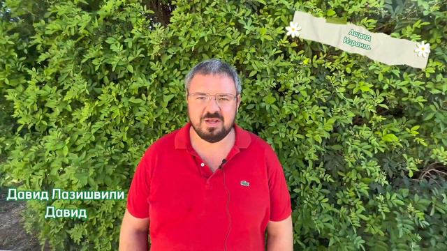 Визитка: г-н Давид смотреть онлайн