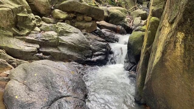 [Melody] Cha Cha Cha - Rumba - Tango with Guitar Music | Best Relaxing Time For You 2024 смотреть онлайн