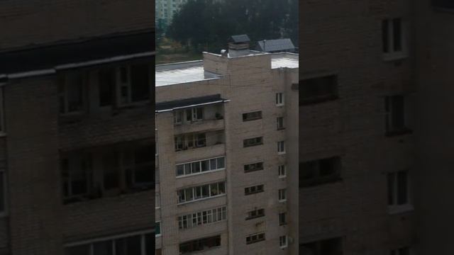 королевка. смоленск. квартира. козел смотреть онлайн