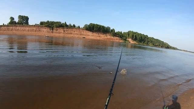 Рыбалка на Вятке в июне. На фидер. Оричевский район. смотреть онлайн
